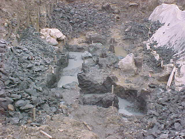 Dig Site 2.jpg (51880 bytes)